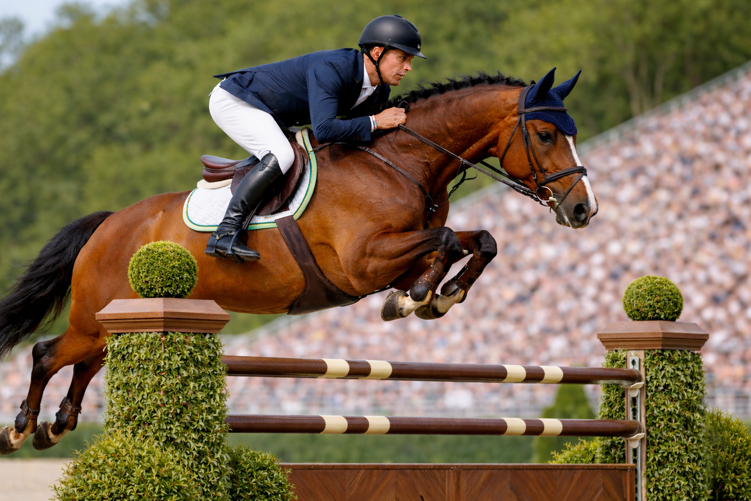 Cavalos e Suas Origens: Brasileiro de Hipismo — A Raça que o Brasil Criou para Chegar ao Pódio Olímpico