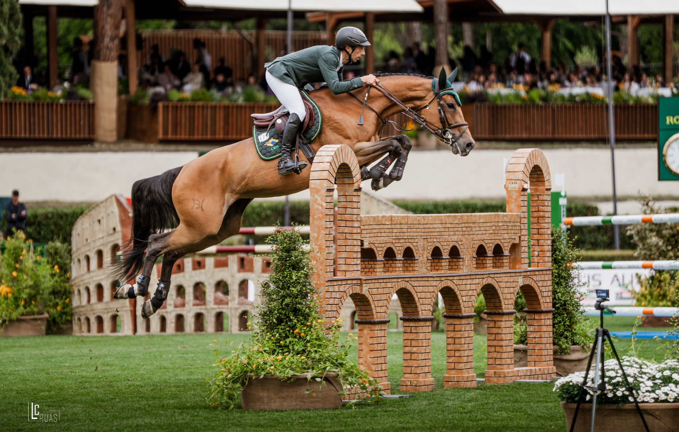 Cavalos e Suas Origens: Brasileiro de Hipismo — A Raça que o Brasil Criou para Chegar ao Pódio Olímpico