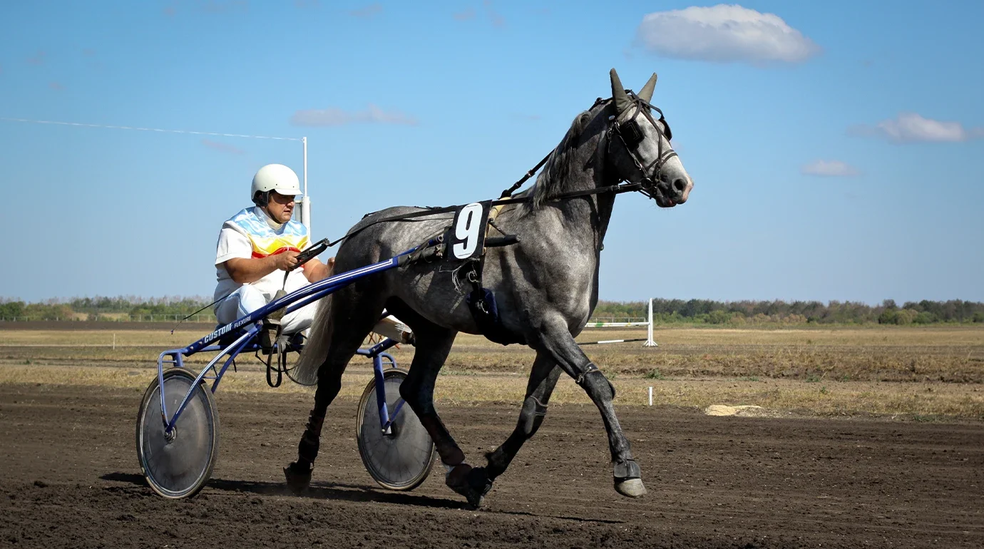 Cavalos e Suas Origens: Trotador Orlov — Dez Segundos Atrás do Americano