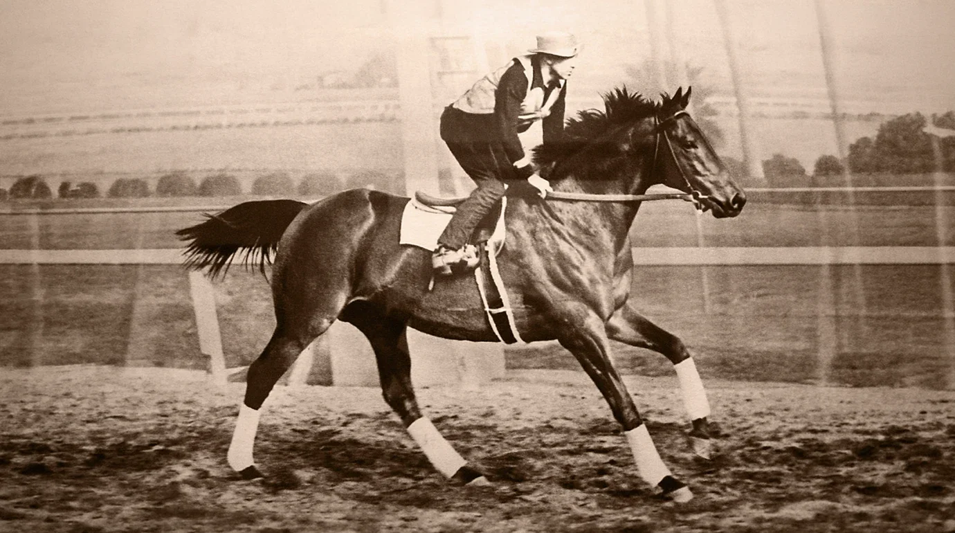 Cavalos Famosos: Seabiscuit — De cavalo de US$ 2.500 a recordista histórico