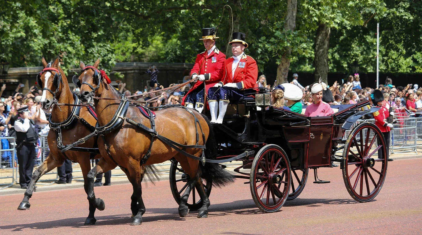 Cavalos e Suas Origens: Cleveland Bay — O Cavalo Inglês que a Rainha Elizabeth Salvou da Extinção