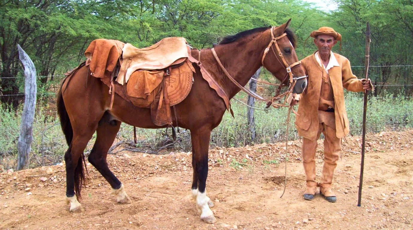 Cavalos e Suas Origens: Cavalo Nordestino — O Cavalo do Vaqueiro que Percorre o Sertão Sem Ferradura