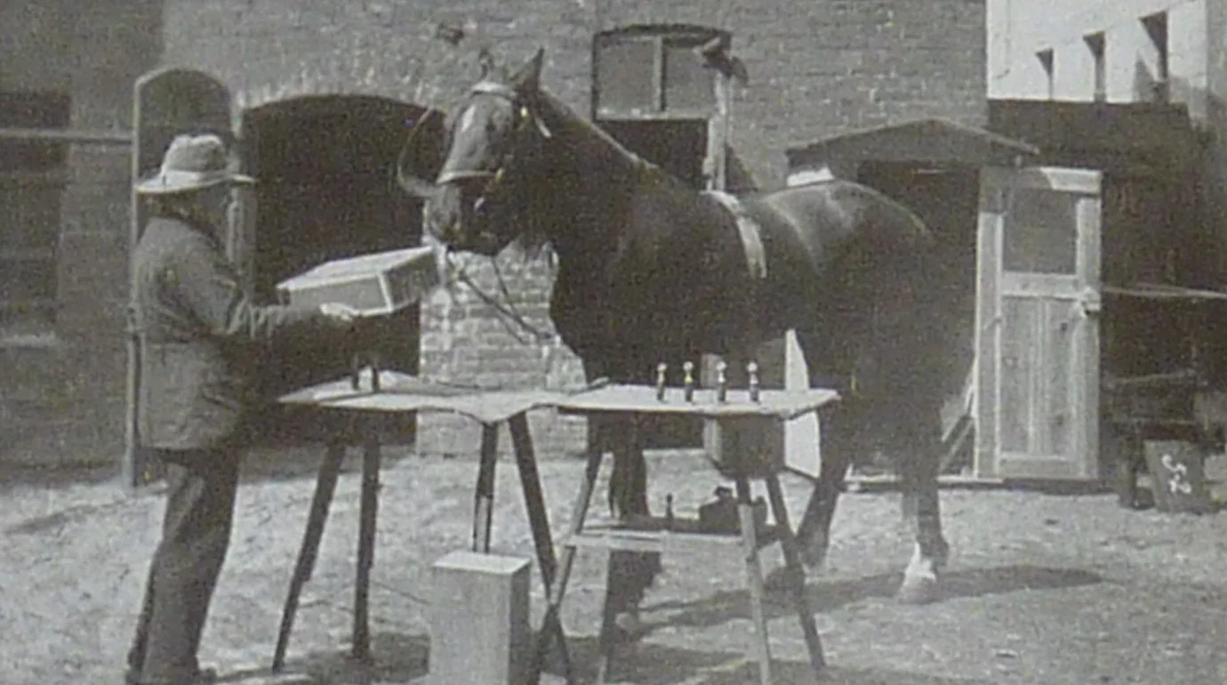 Cavalos Famosos: Clever Hans — Por Que a IA Acerta Como um Cavalo de 1904