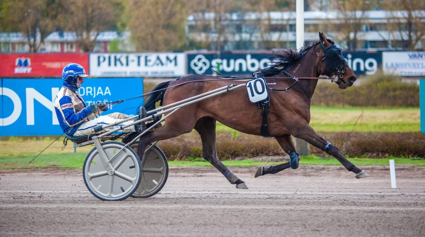 Cavalos e Suas Origens: Standardbred — De um Potro de Fazenda ao Maior Trotador do Mundo